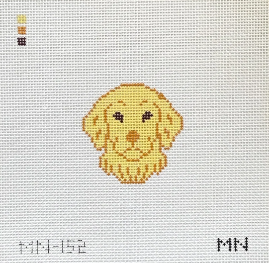 Golden Retriever Mini